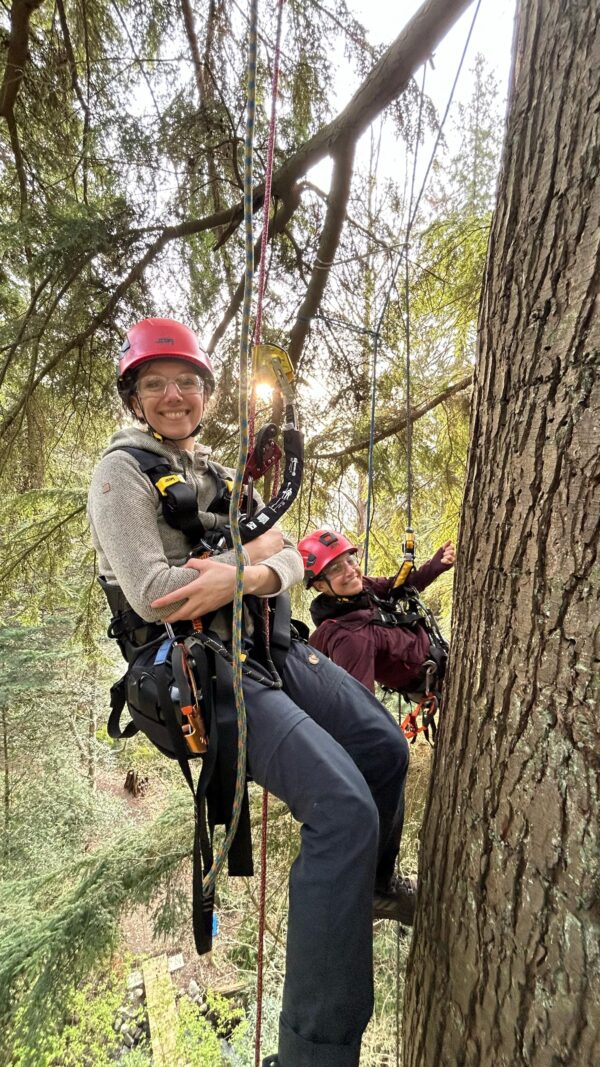 Canopy Intro