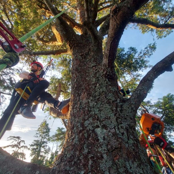 WhatsApp Image 2026-02-22 at 1.43.37 PM