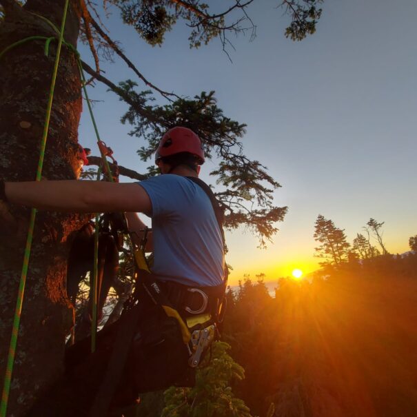 WhatsApp Image 2026-02-22 at 1.43.38 PM (1)