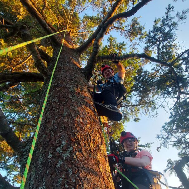 WhatsApp Image 2026-02-22 at 1.43.38 PM