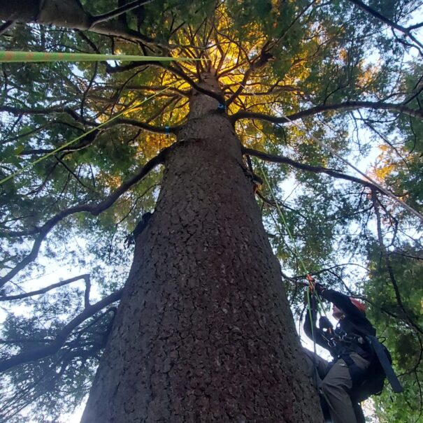 WhatsApp Image 2026-02-22 at 1.44.51 PM