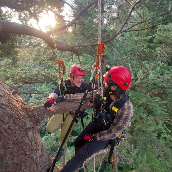 WhatsApp Image 2026-02-22 at 1.45.28 PM